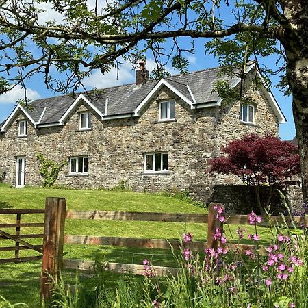 Maesyfelin Isaf B&B Llanybydder Luaran gambar