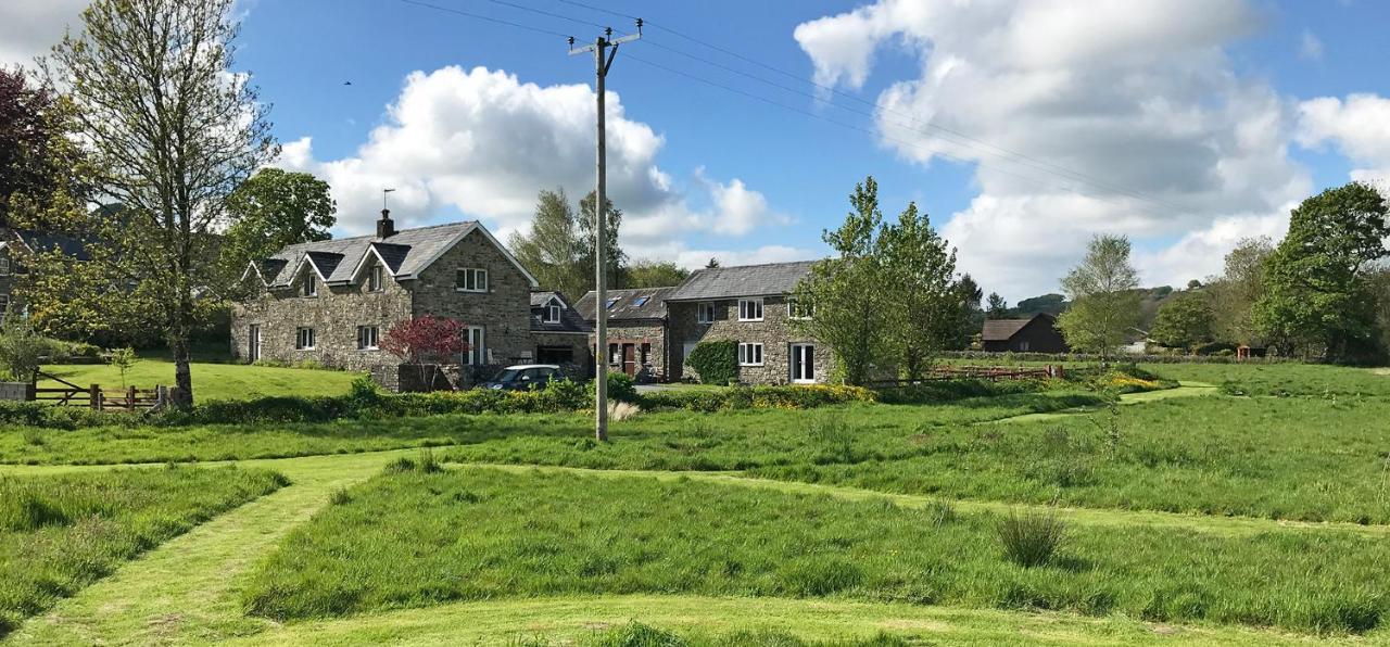 Maesyfelin Isaf B&B Llanybydder Luaran gambar