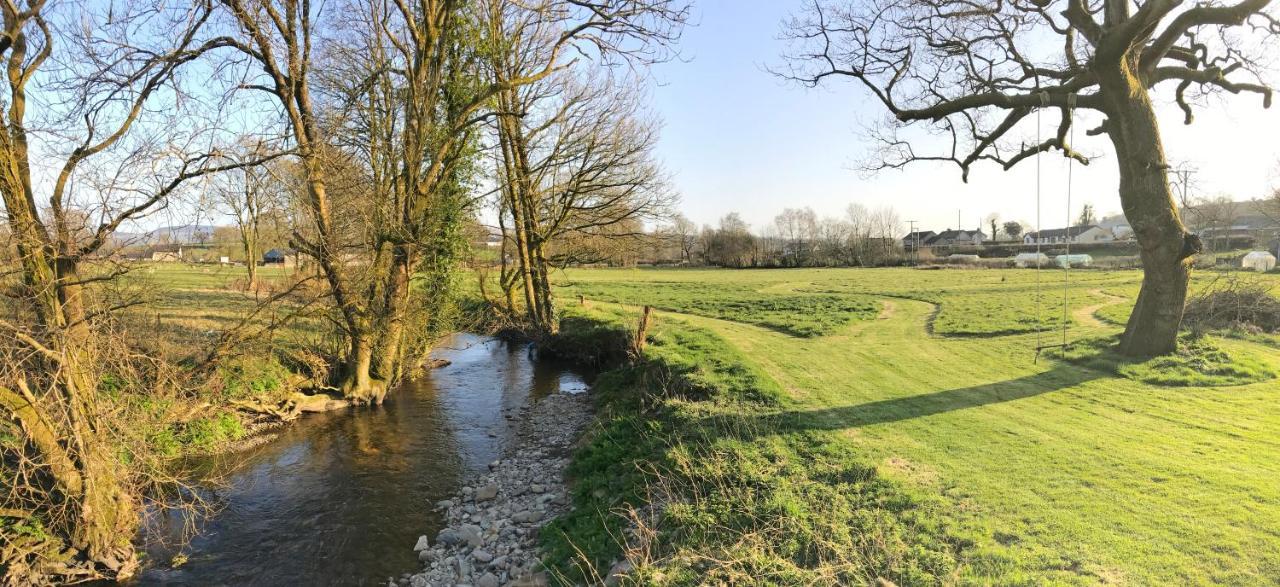 Maesyfelin Isaf B&B Llanybydder Luaran gambar