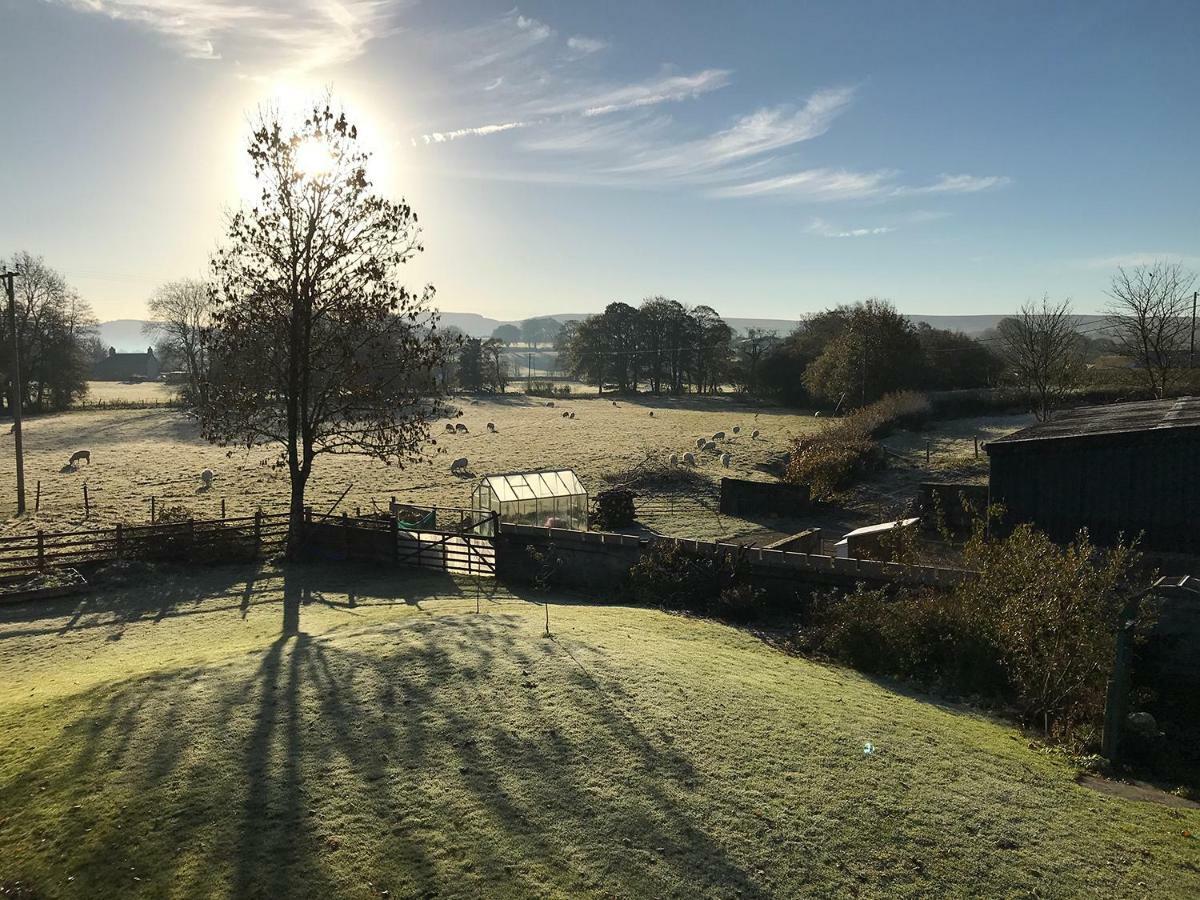 Maesyfelin Isaf B&B Llanybydder Luaran gambar