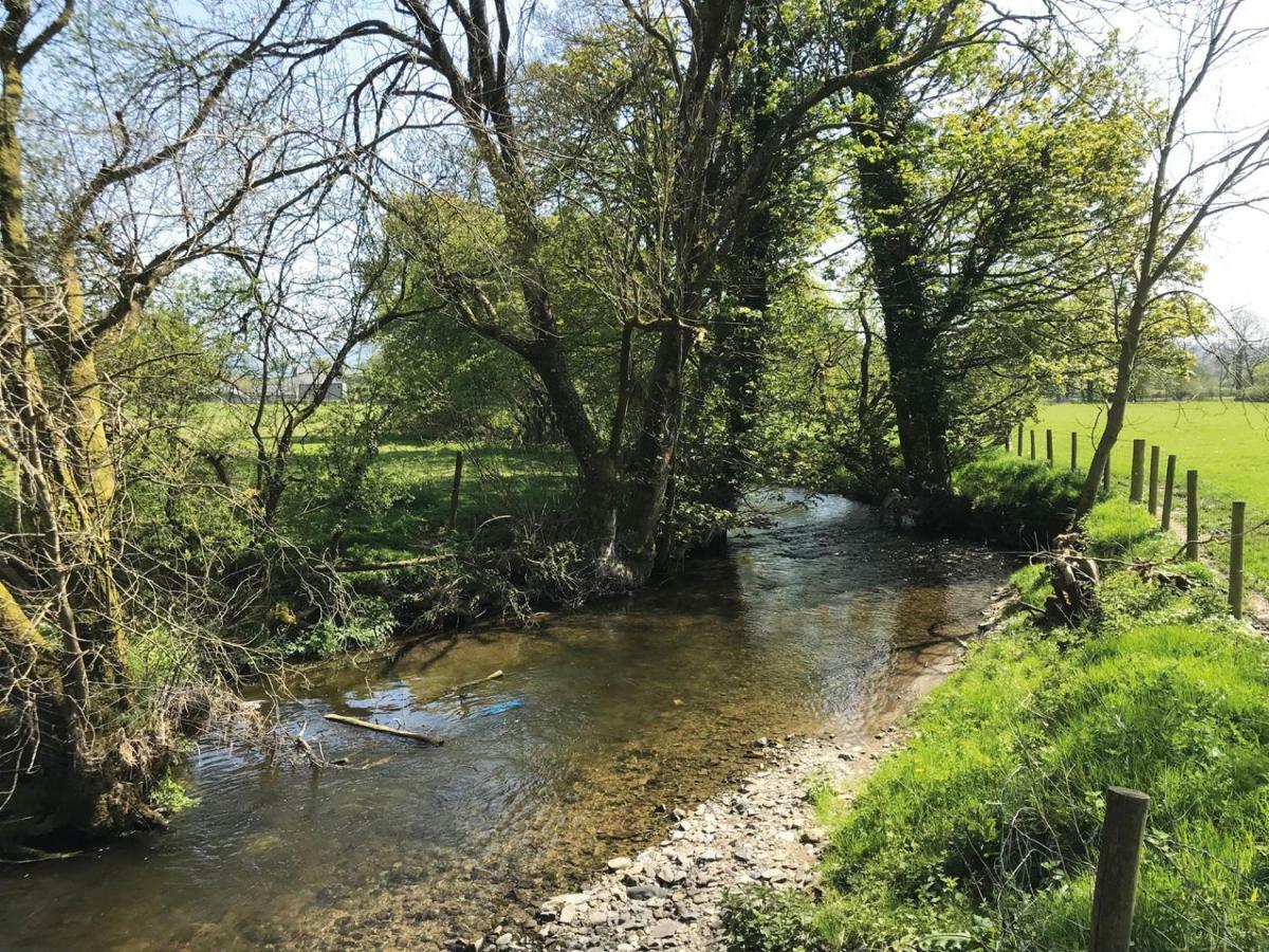 Maesyfelin Isaf B&B Llanybydder Luaran gambar