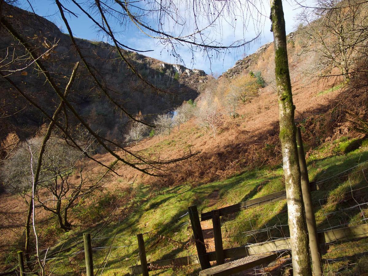 Maesyfelin Isaf B&B Llanybydder Luaran gambar