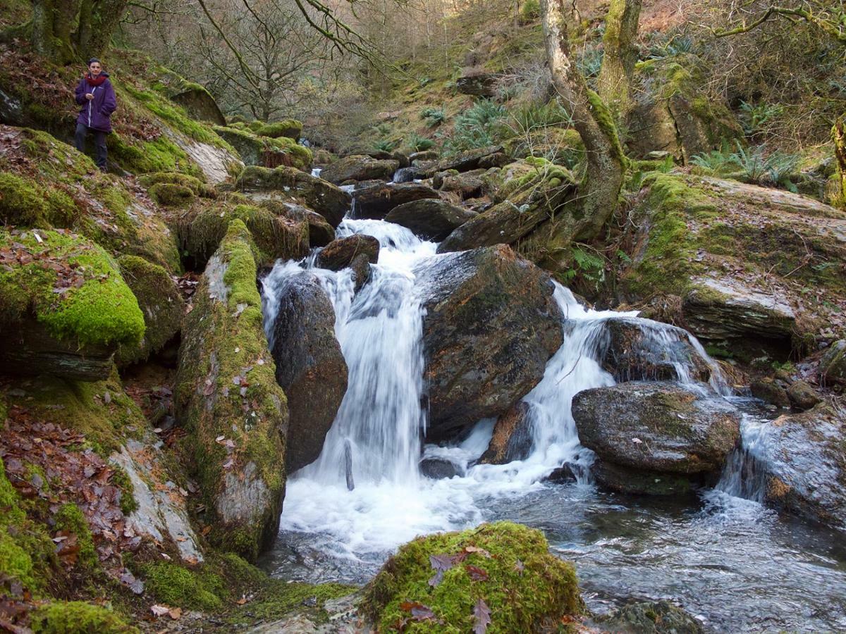 Maesyfelin Isaf B&B Llanybydder Luaran gambar