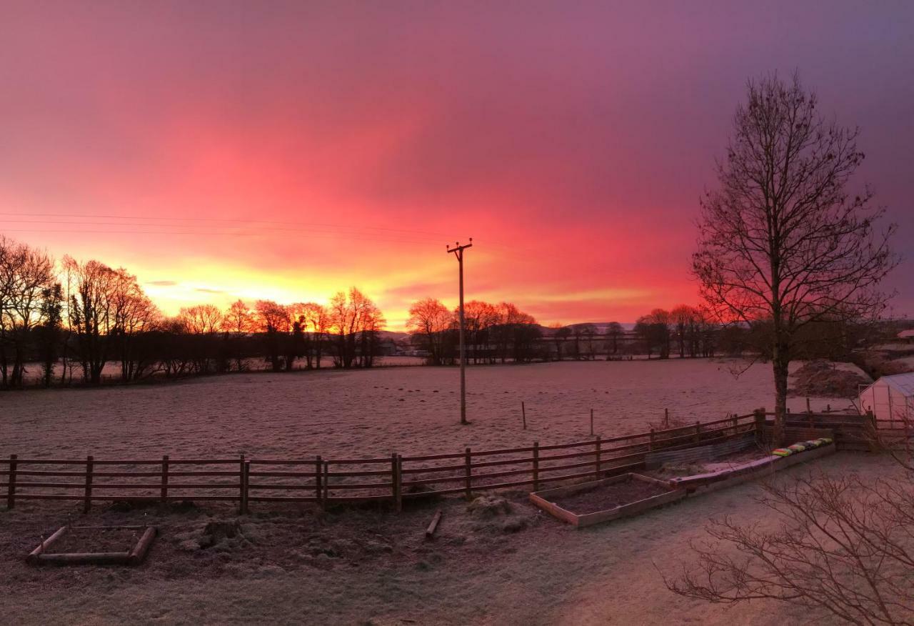 Maesyfelin Isaf B&B Llanybydder Luaran gambar