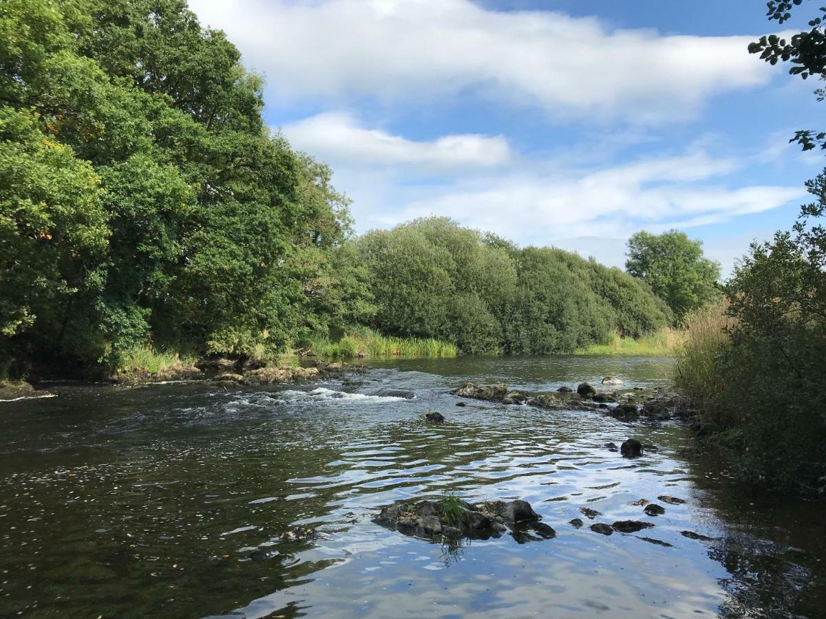 Maesyfelin Isaf B&B Llanybydder Luaran gambar