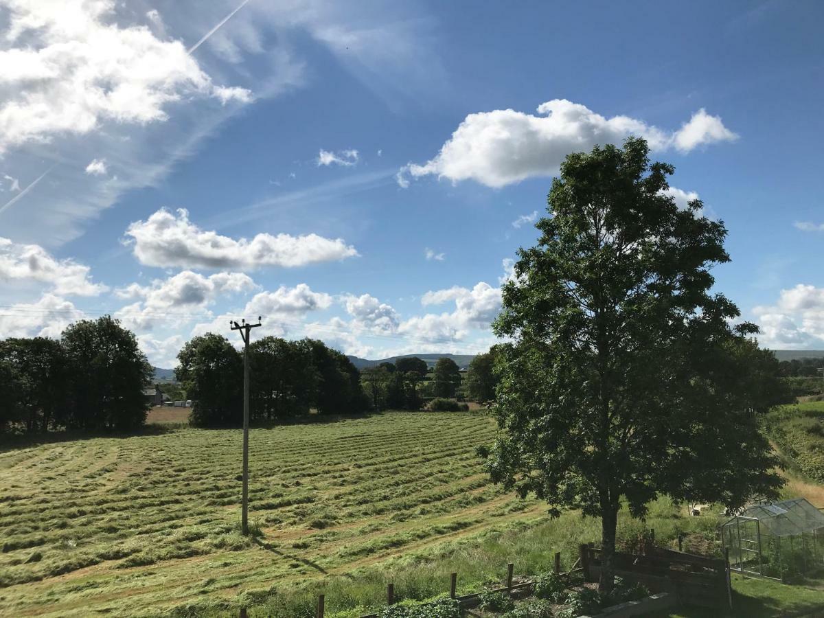 Maesyfelin Isaf B&B Llanybydder Luaran gambar