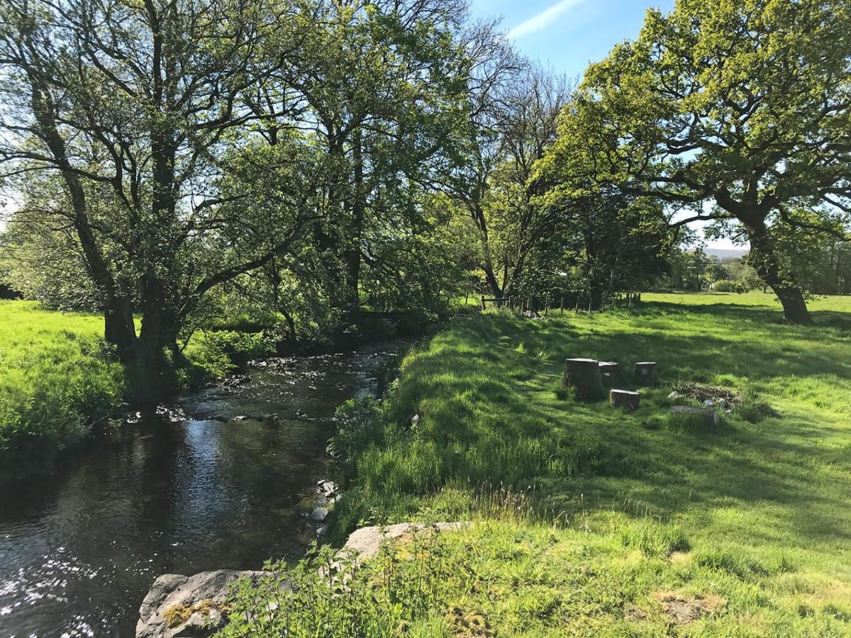 Maesyfelin Isaf B&B Llanybydder Luaran gambar