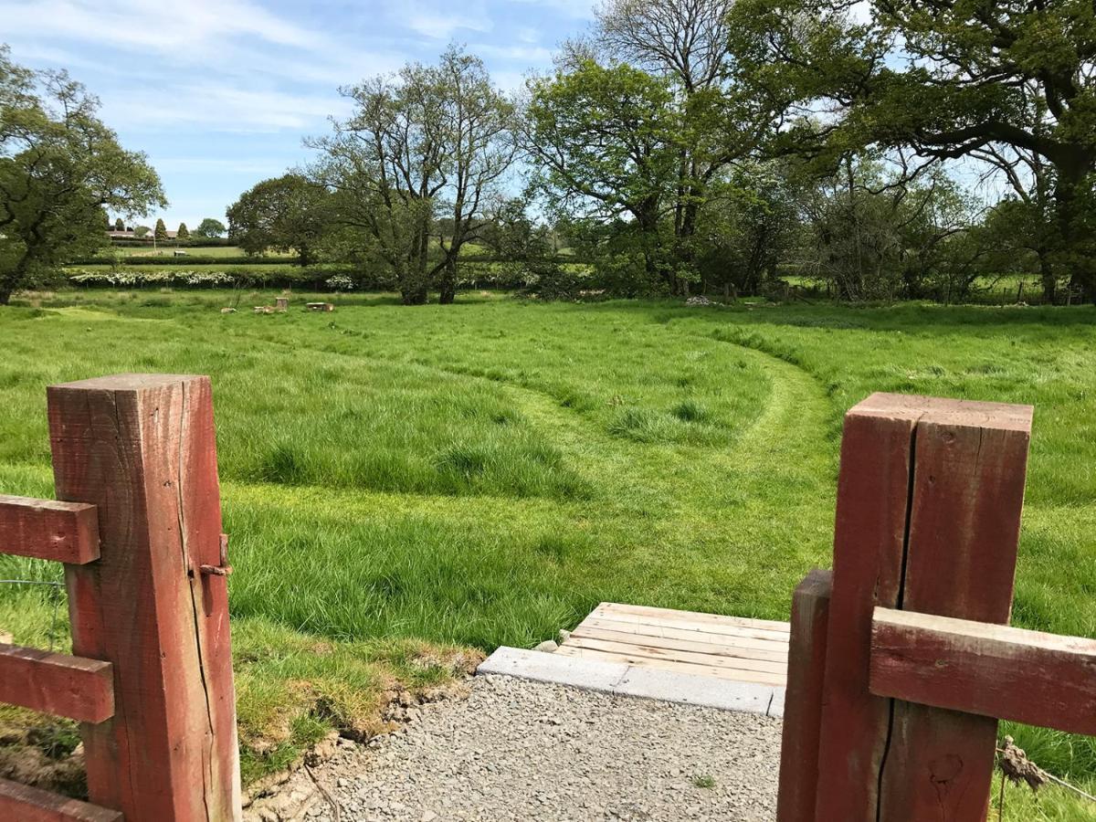 Maesyfelin Isaf B&B Llanybydder Luaran gambar