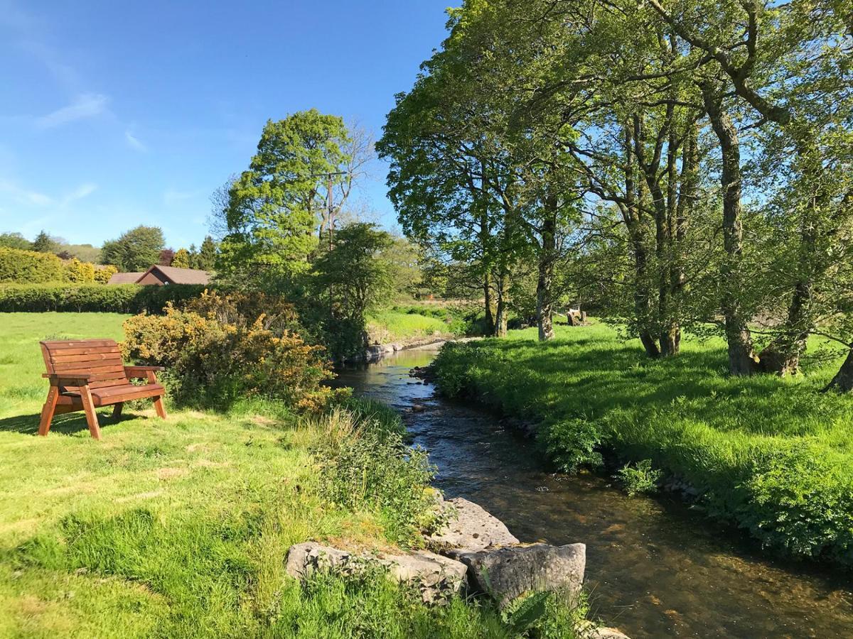 Maesyfelin Isaf B&B Llanybydder Luaran gambar