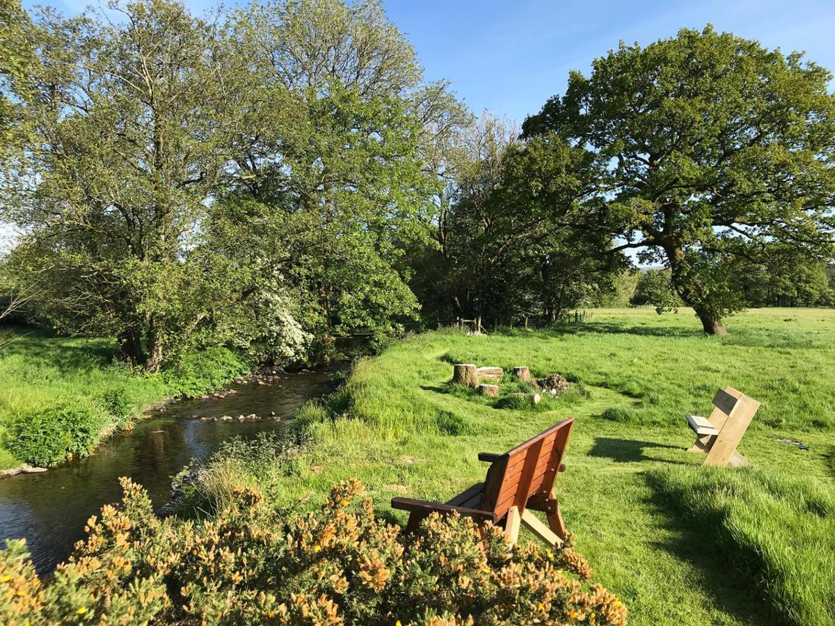 Maesyfelin Isaf B&B Llanybydder Luaran gambar